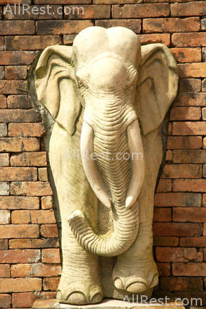 Thiwaratri Resort & Spa 11